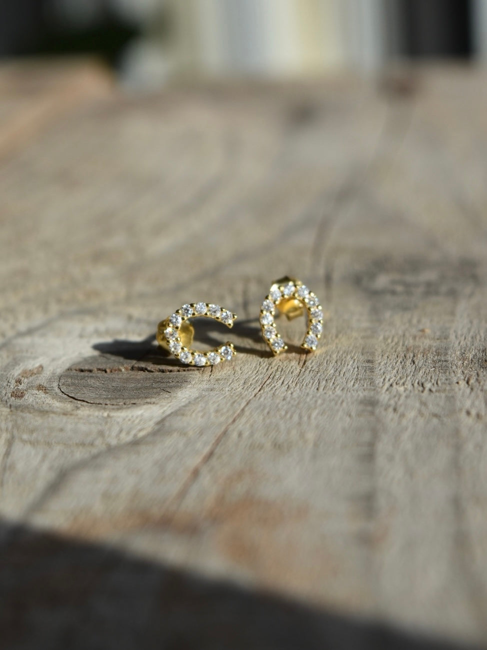 Lucky Horsehoe Earrings