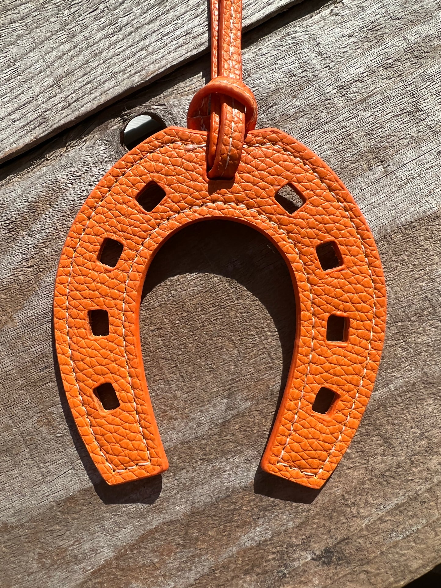 Horseshoe Charm