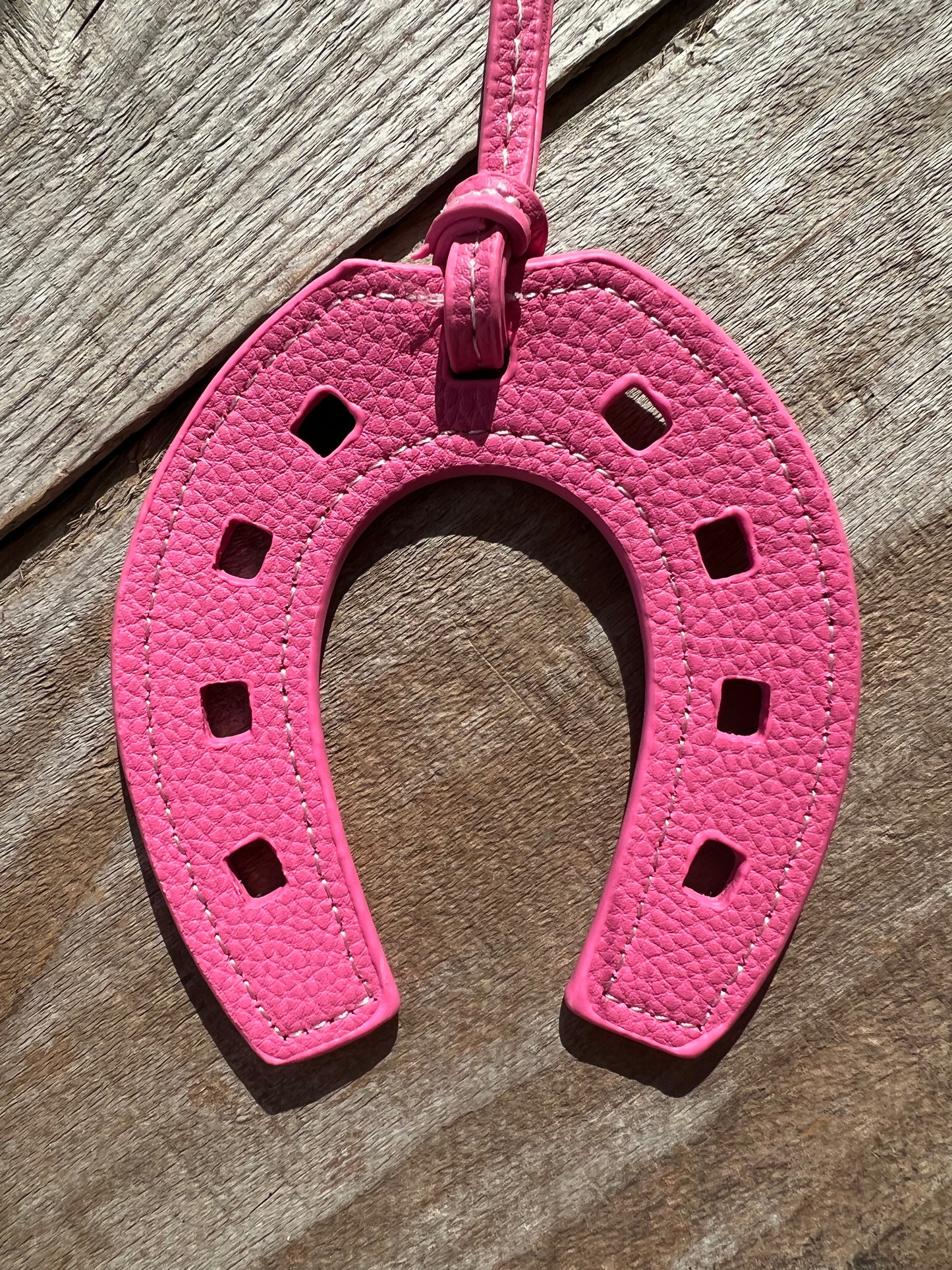 Horseshoe Charm