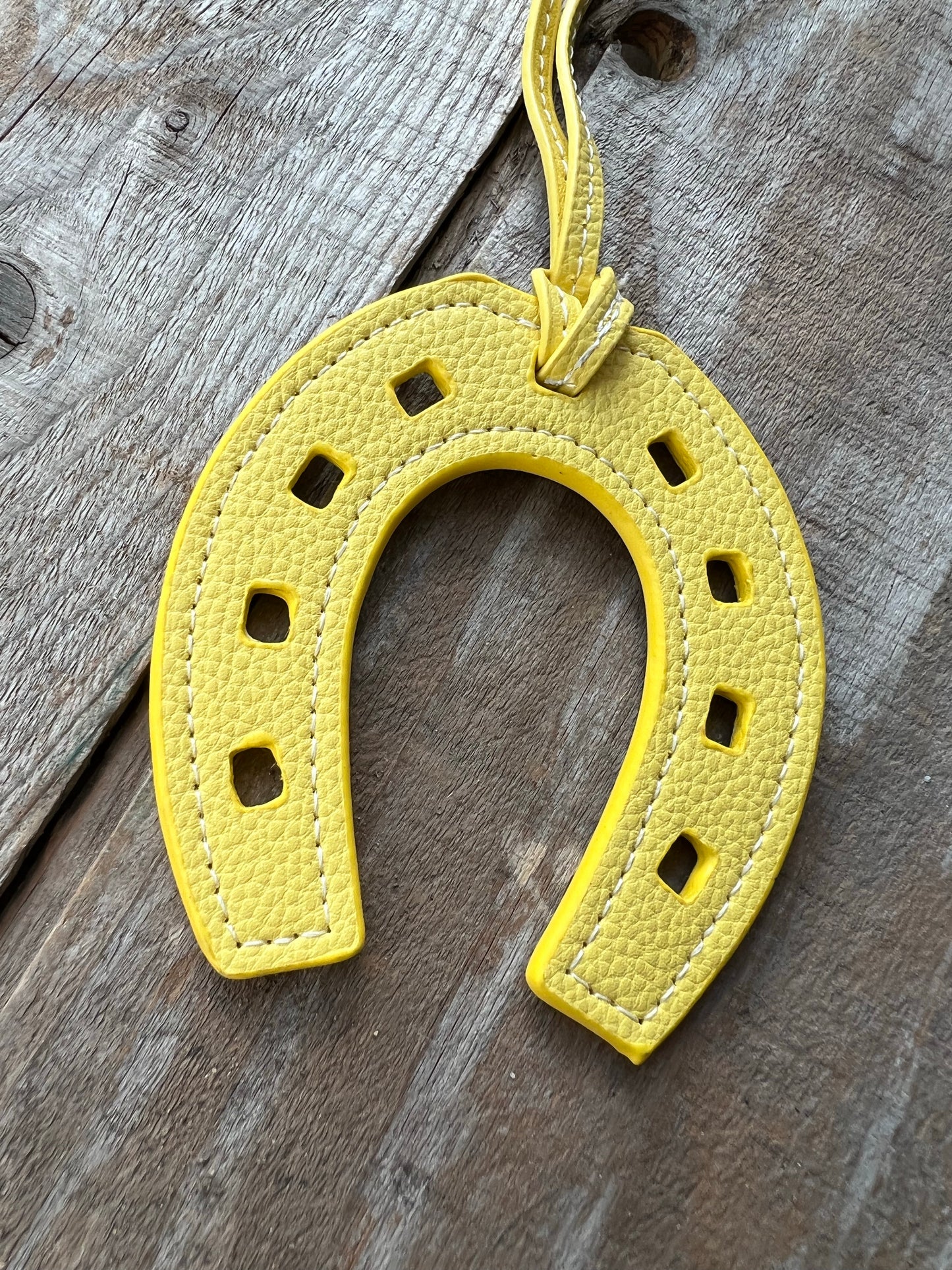 Horseshoe Charm