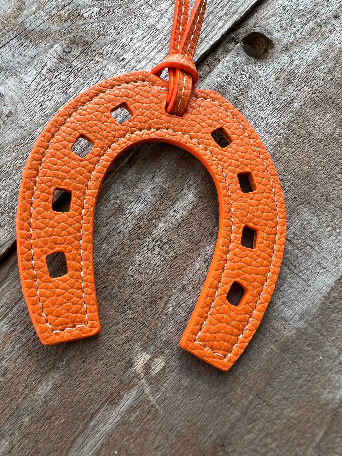 Horseshoe Charm