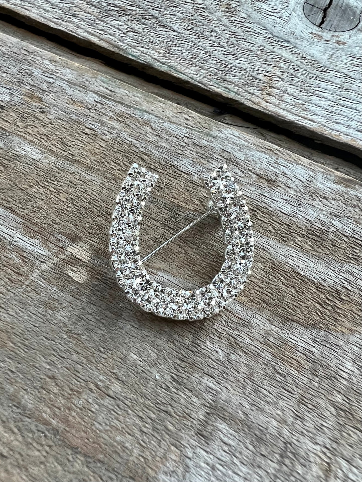 Horseshoe Brooch